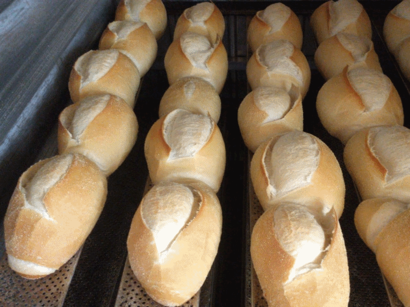 padaria em pirituba, sp_tropical de pirituba My Image